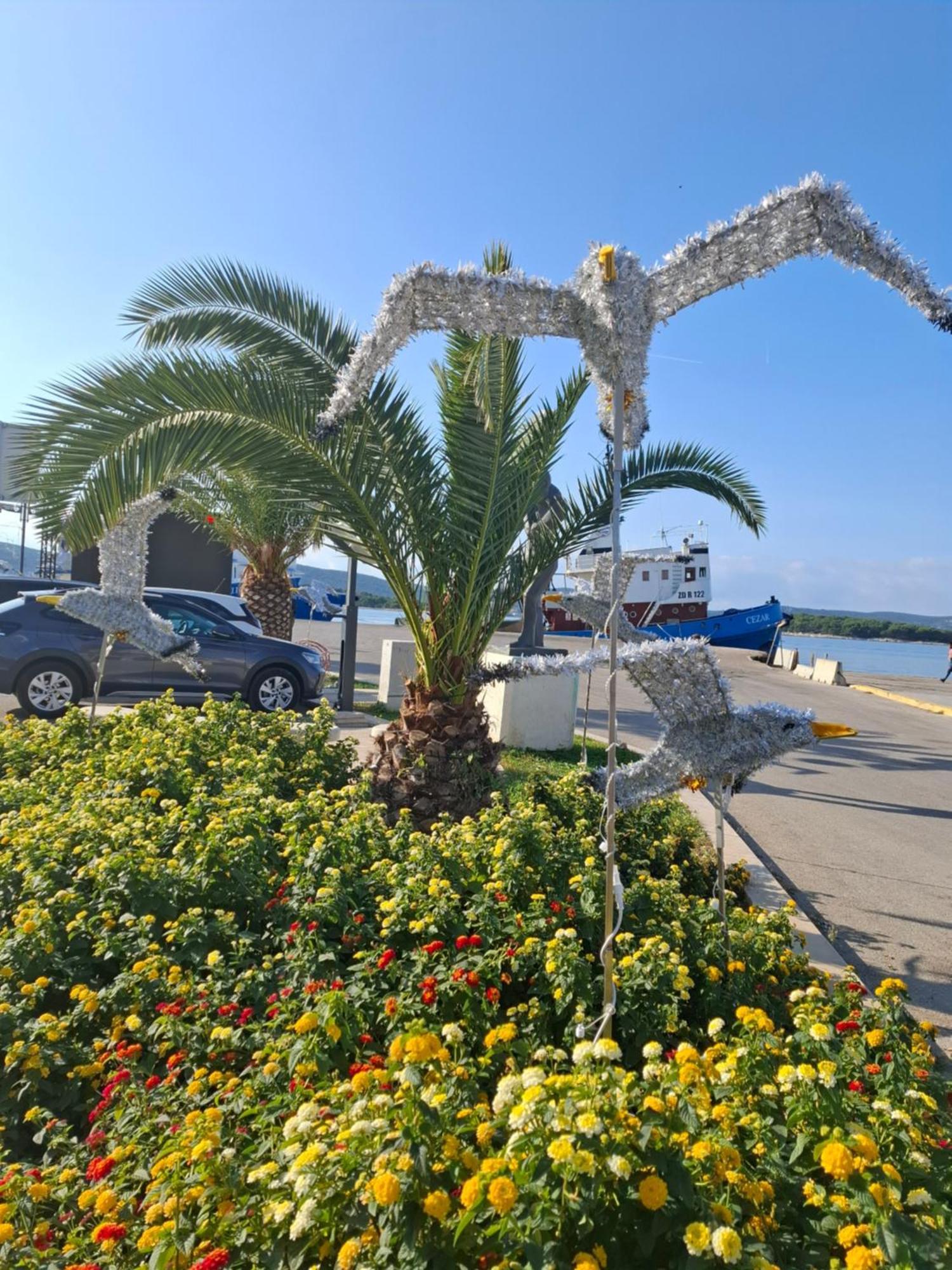 Apartmani Orhideja Gornji Karin Exterior photo